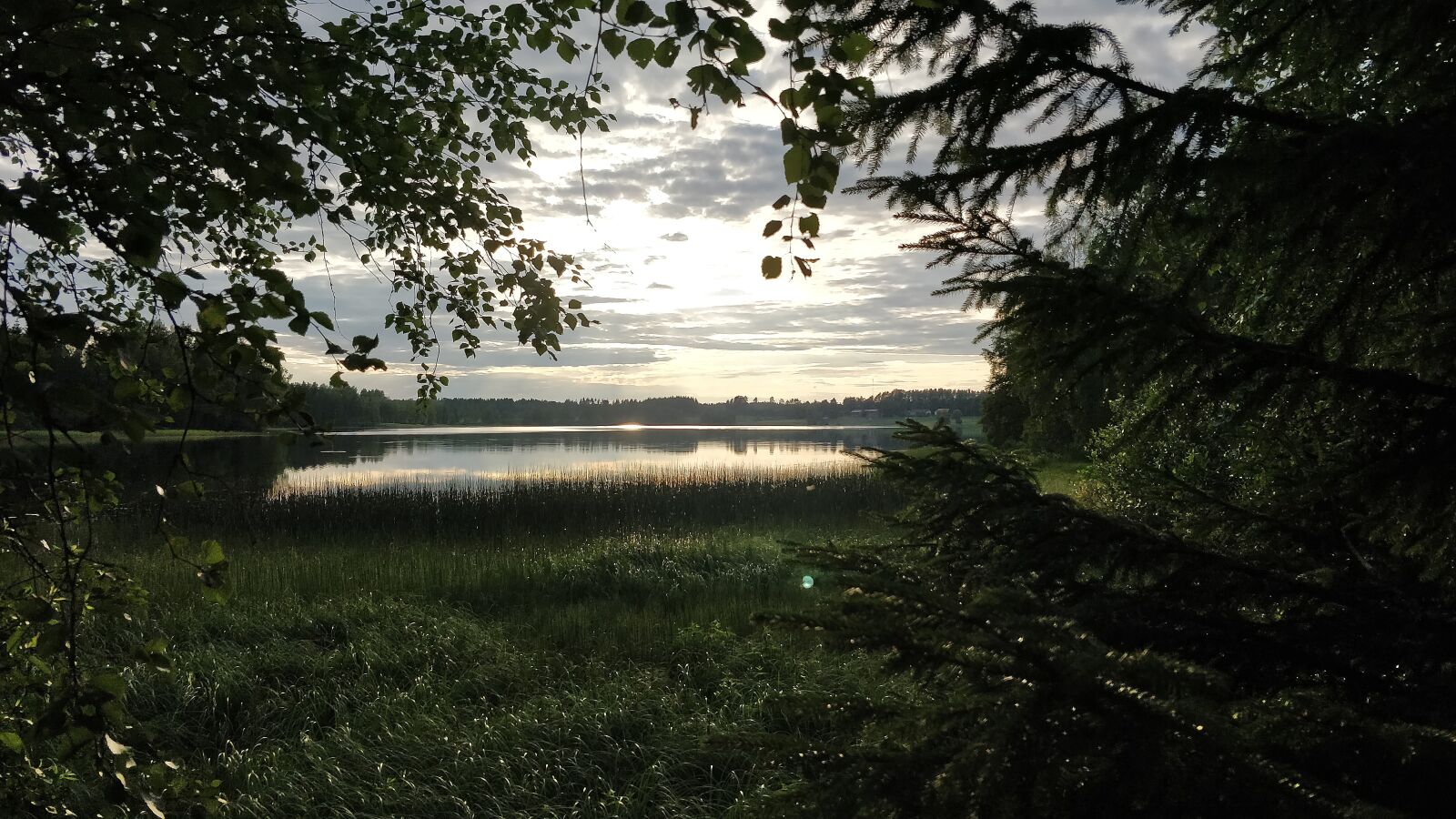 OnePlus 5 sample photo. Finland, summer, evening photography