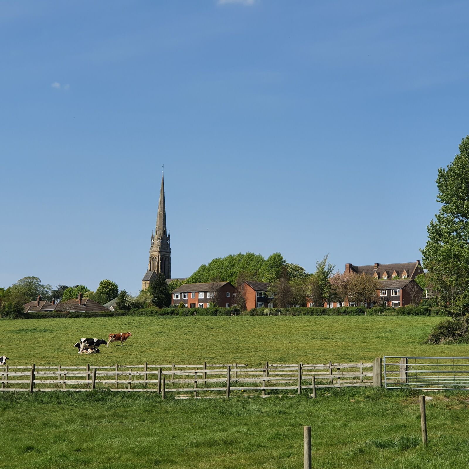 Samsung Galaxy S10 sample photo. Field, grass, church photography