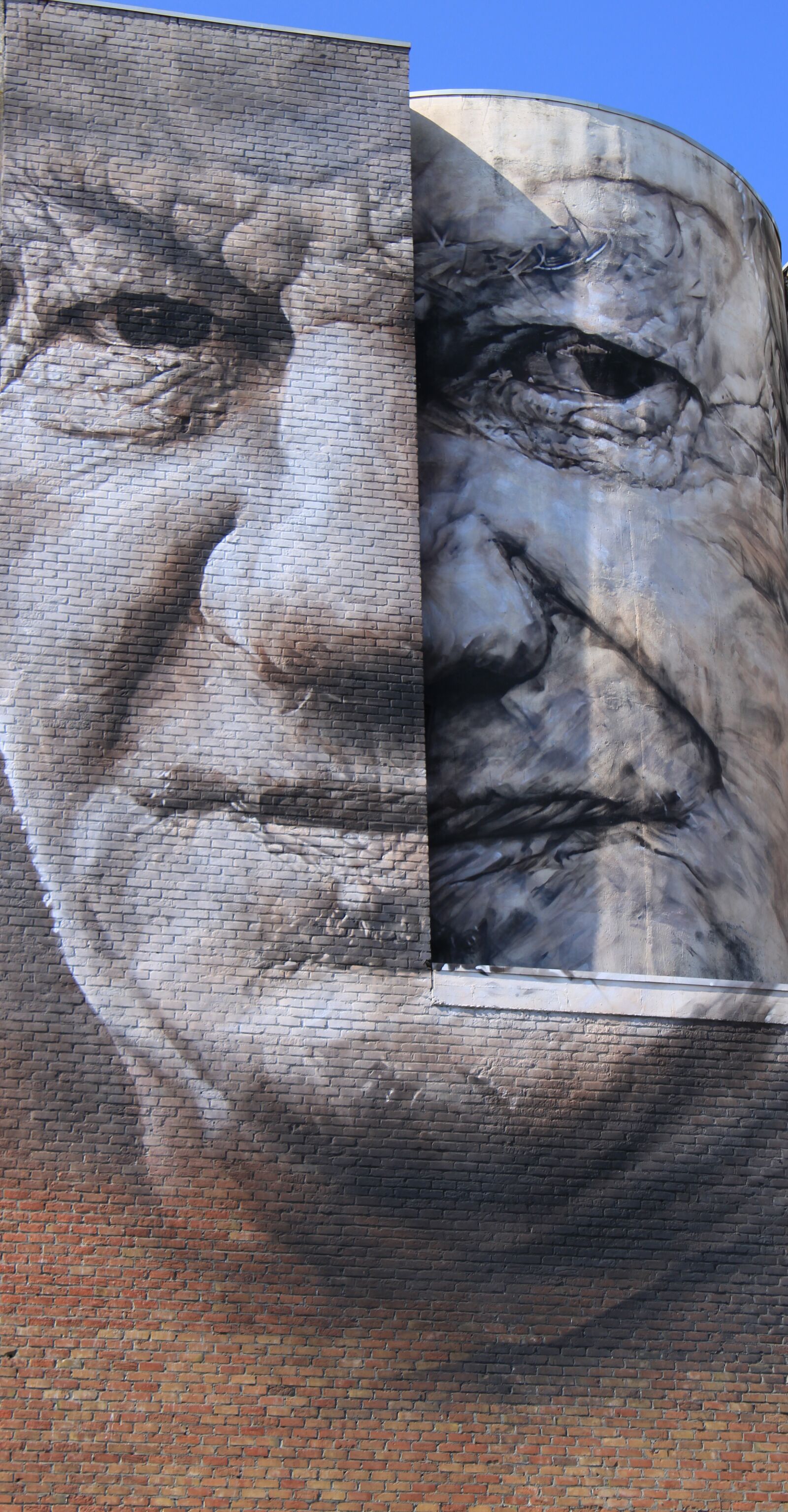 Canon EOS 2000D (EOS Rebel T7 / EOS Kiss X90 / EOS 1500D) sample photo. Facade, face, graffiti photography