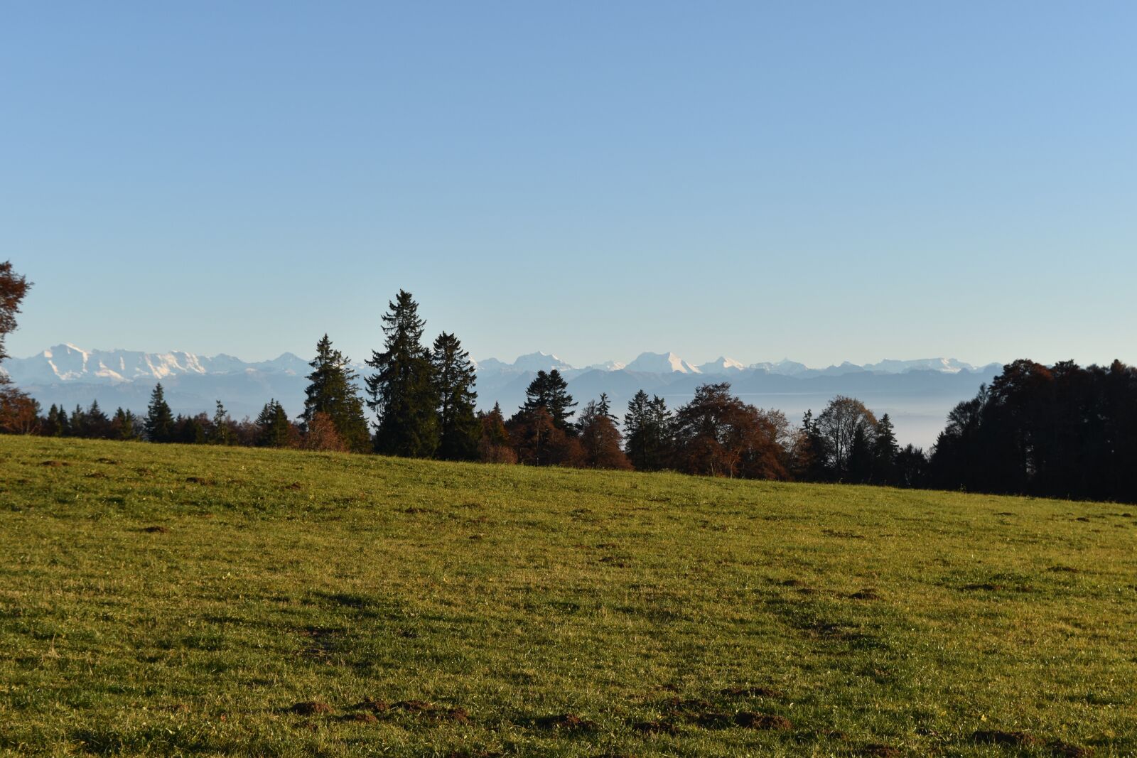 Nikon D5500 sample photo. Jura, switzerland, nature photography