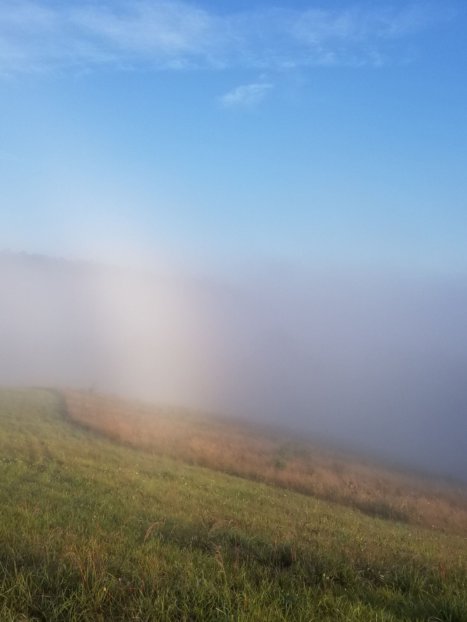 Samsung Galaxy S8+ sample photo. Meadow, blue, field photography