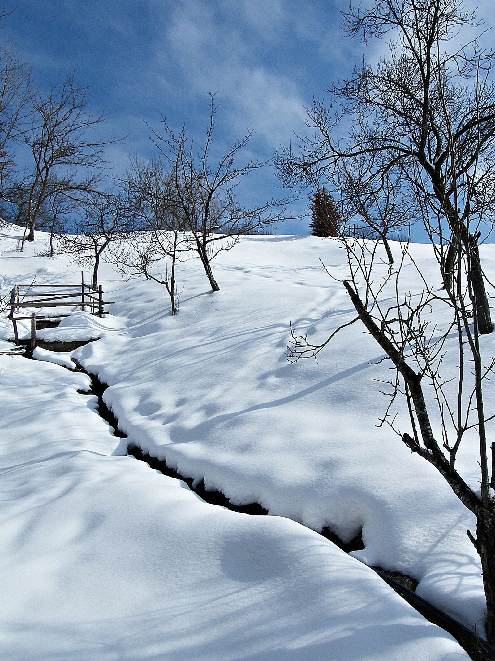 Fujifilm FinePix S8000fd sample photo. Winter, nature, ice photography