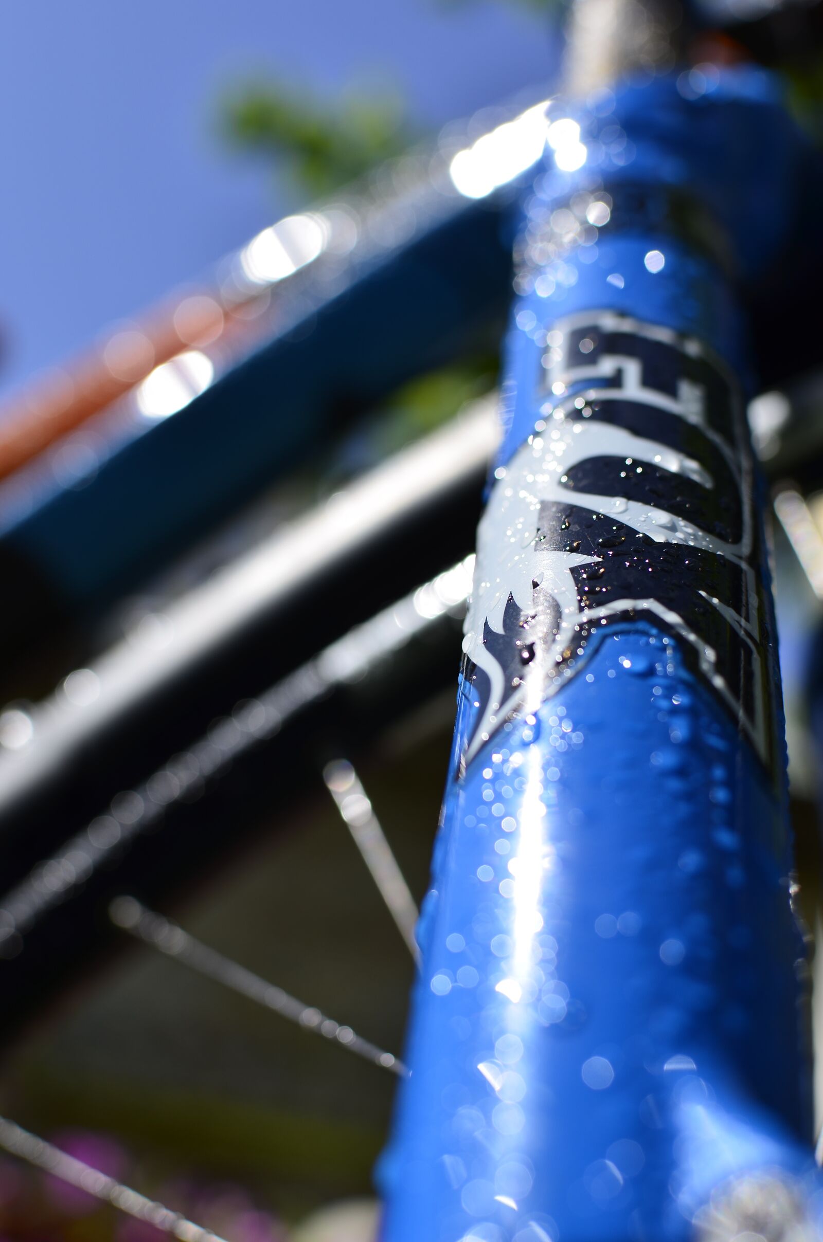 Nikon D7000 sample photo. Bike, fox, shimano photography
