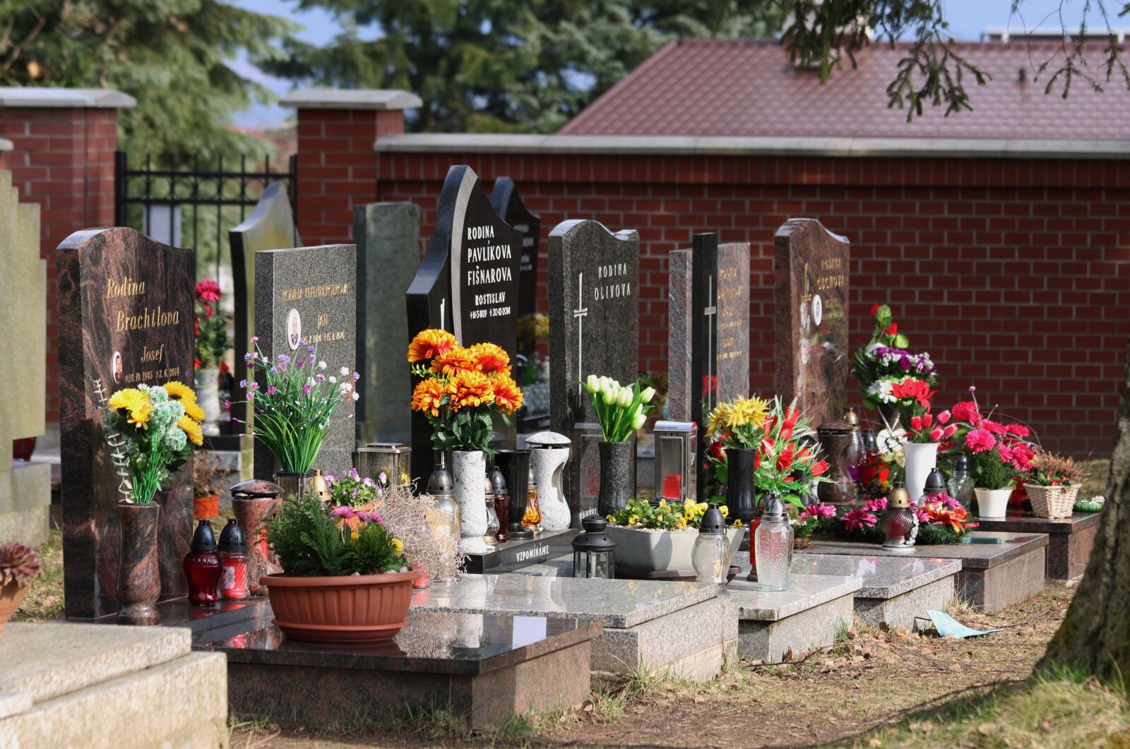Canon EOS 750D (EOS Rebel T6i / EOS Kiss X8i) sample photo. Cemetery, the tombstones, graves photography