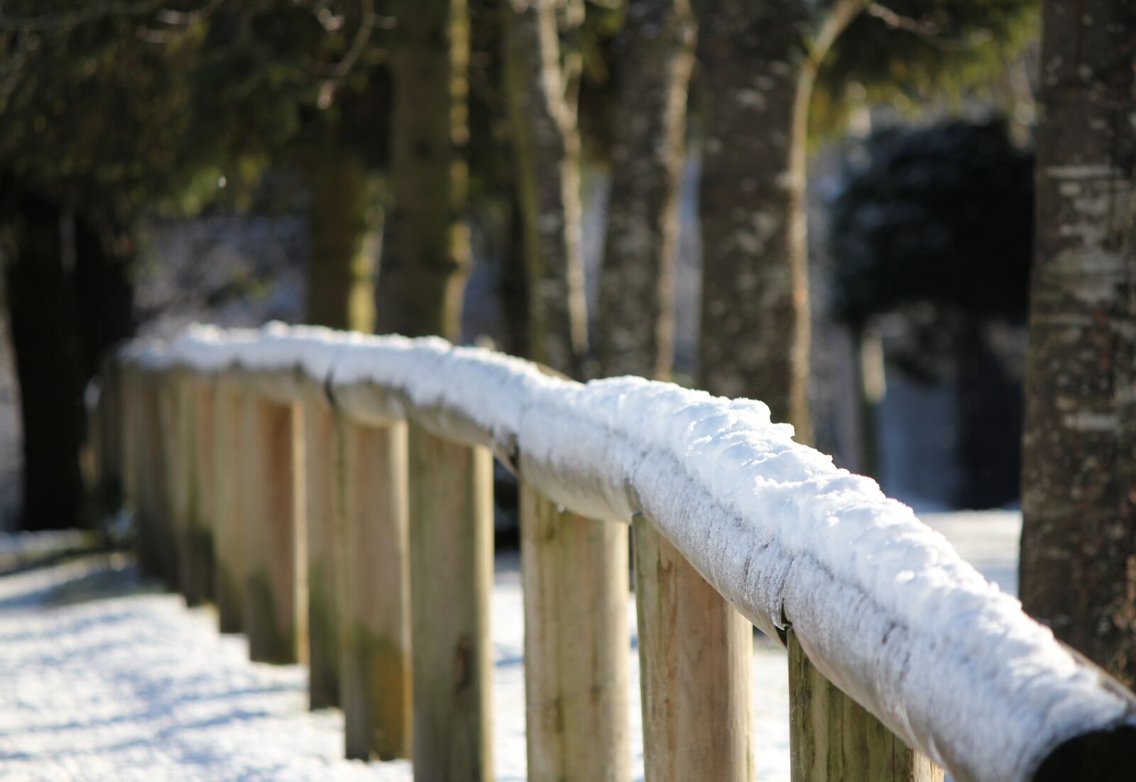 Canon EOS 550D (EOS Rebel T2i / EOS Kiss X4) sample photo. Wooden, snow, cold photography