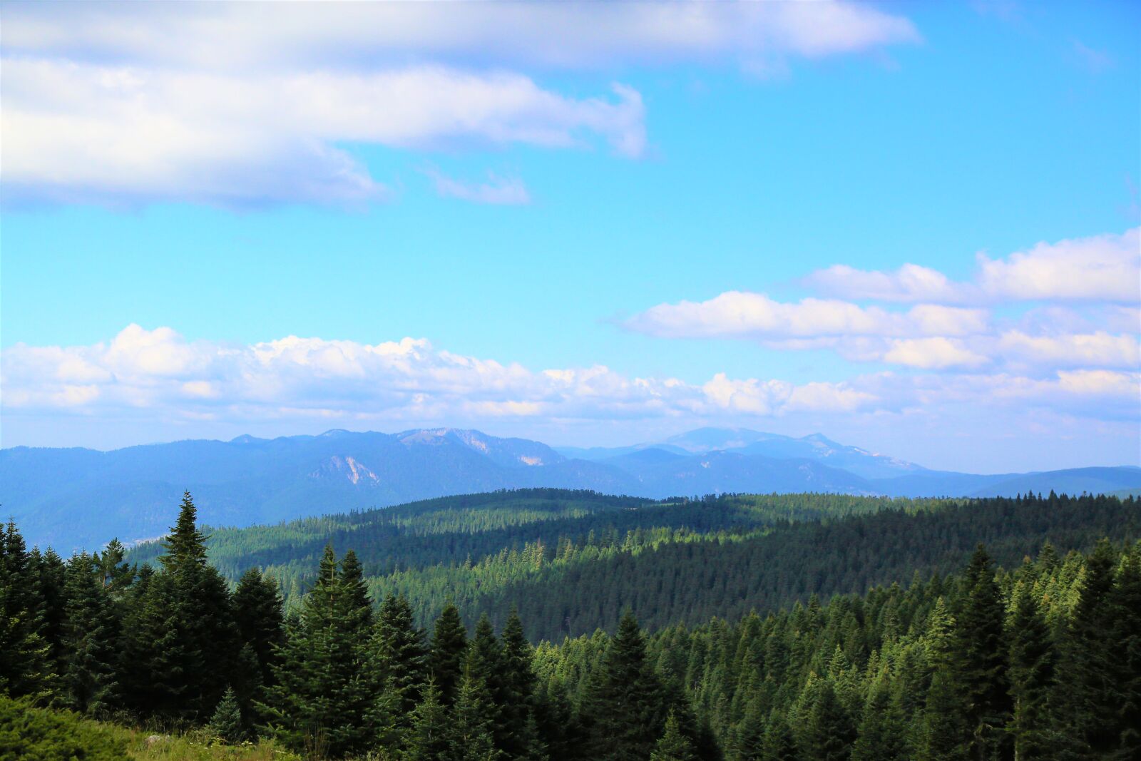 Canon EF 24-105mm F4L IS USM sample photo. Landscape, forest, mountains photography