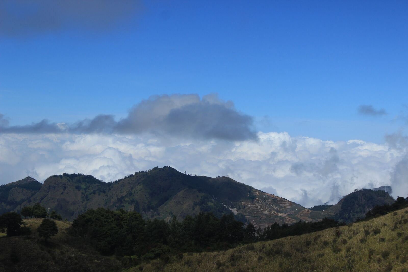 Canon EOS 600D (Rebel EOS T3i / EOS Kiss X5) sample photo. Prau mountain, mountain, dieng photography