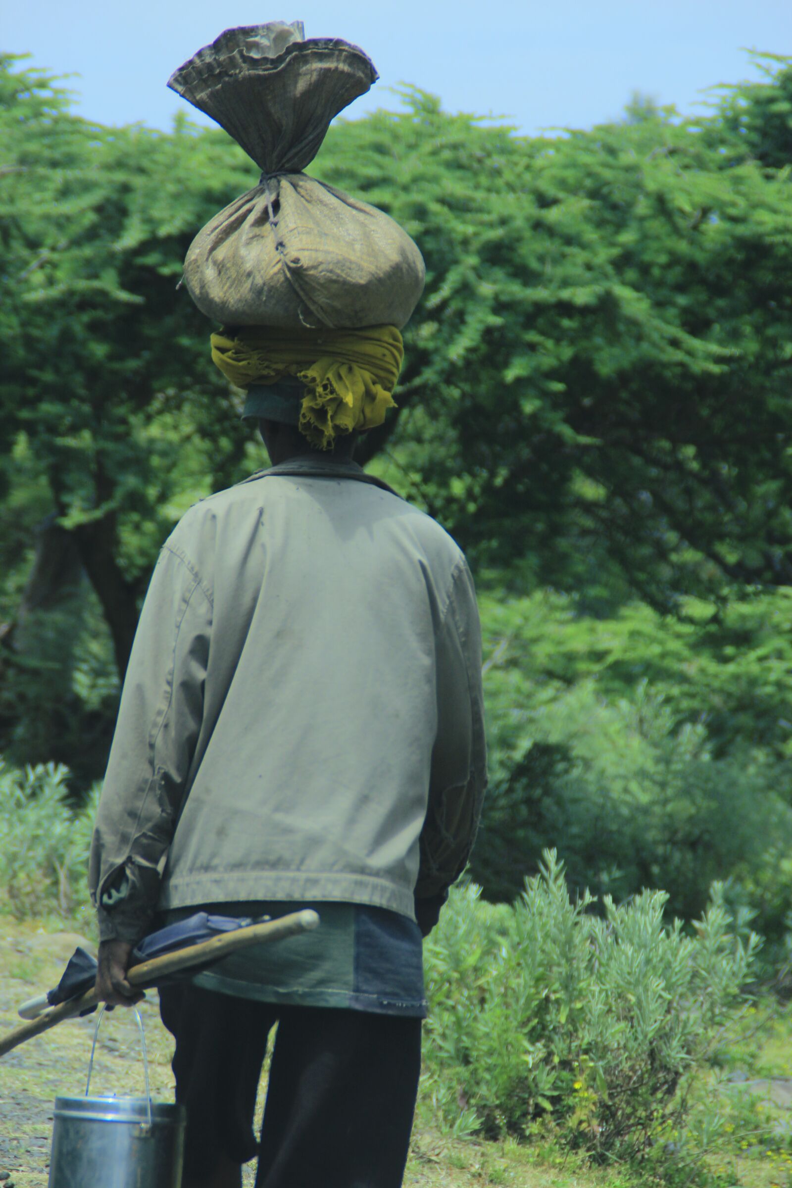 Canon EOS 600D (Rebel EOS T3i / EOS Kiss X5) sample photo. Father, farmer, worker photography