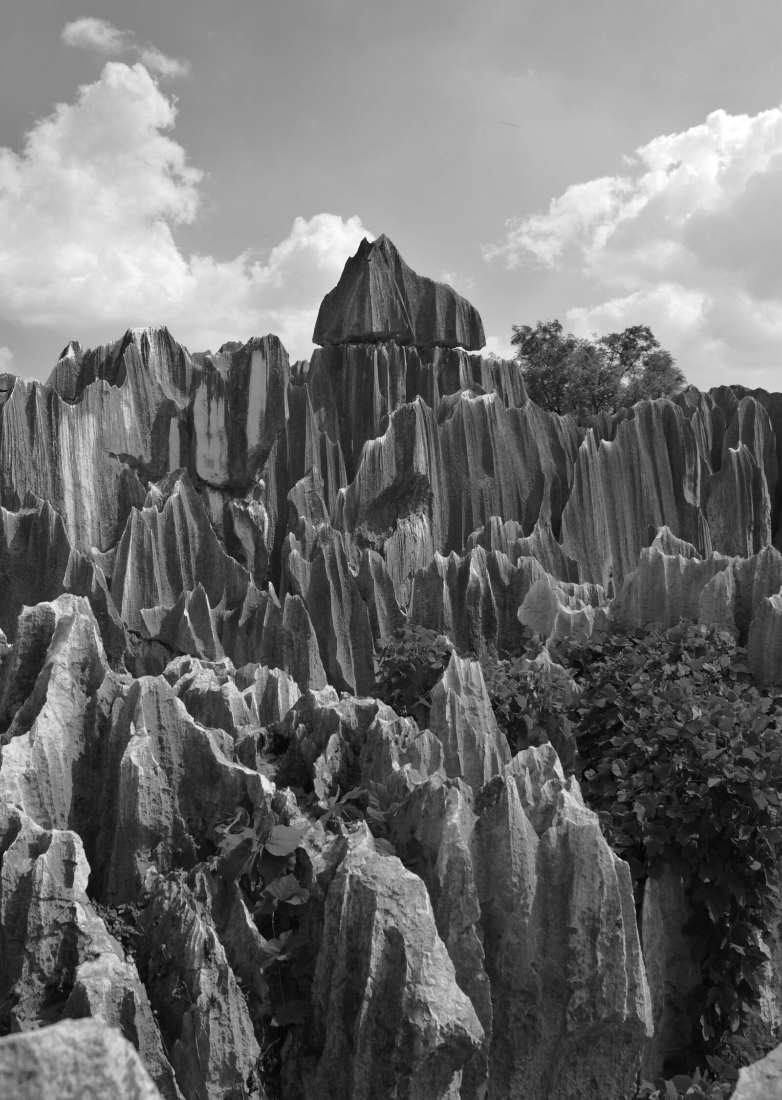 Sony Alpha DSLR-A230 sample photo. Stone forest, rock, shilin photography