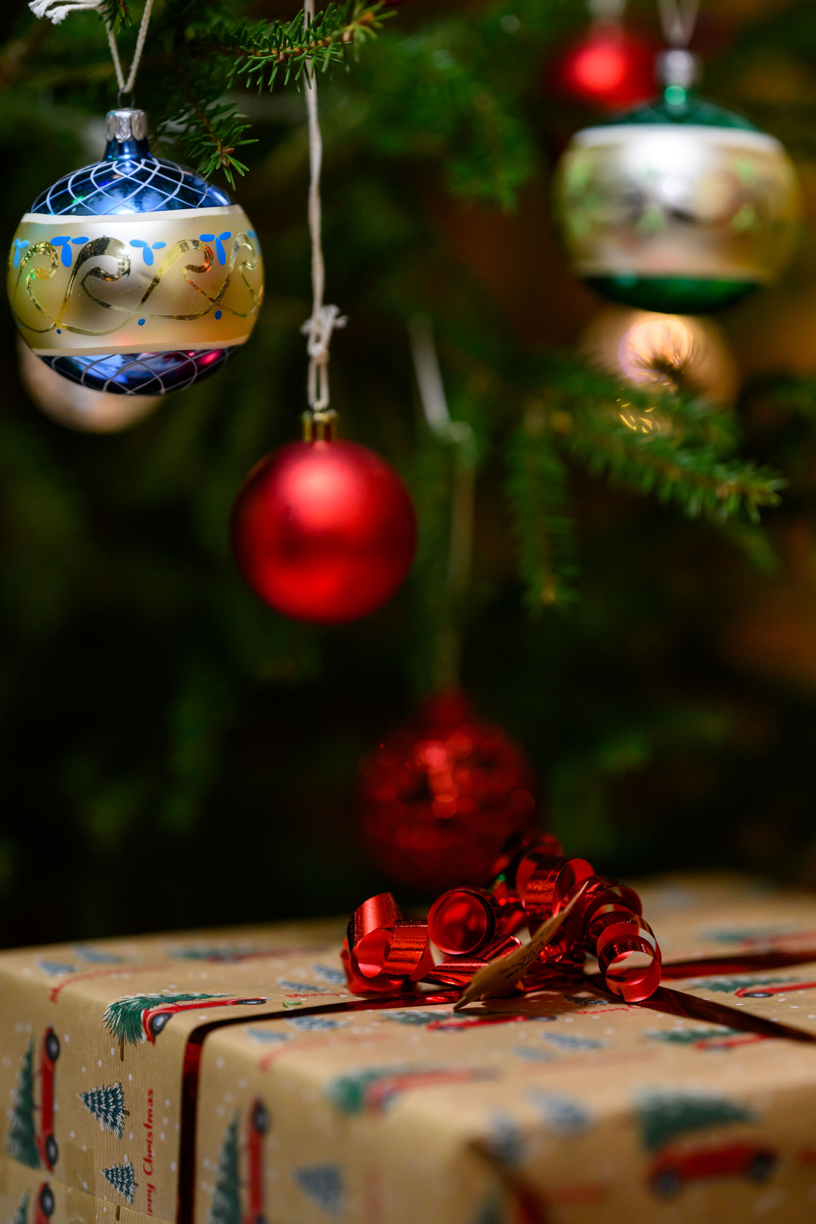 Nikon Z9 sample photo. Under the christmas tree photography