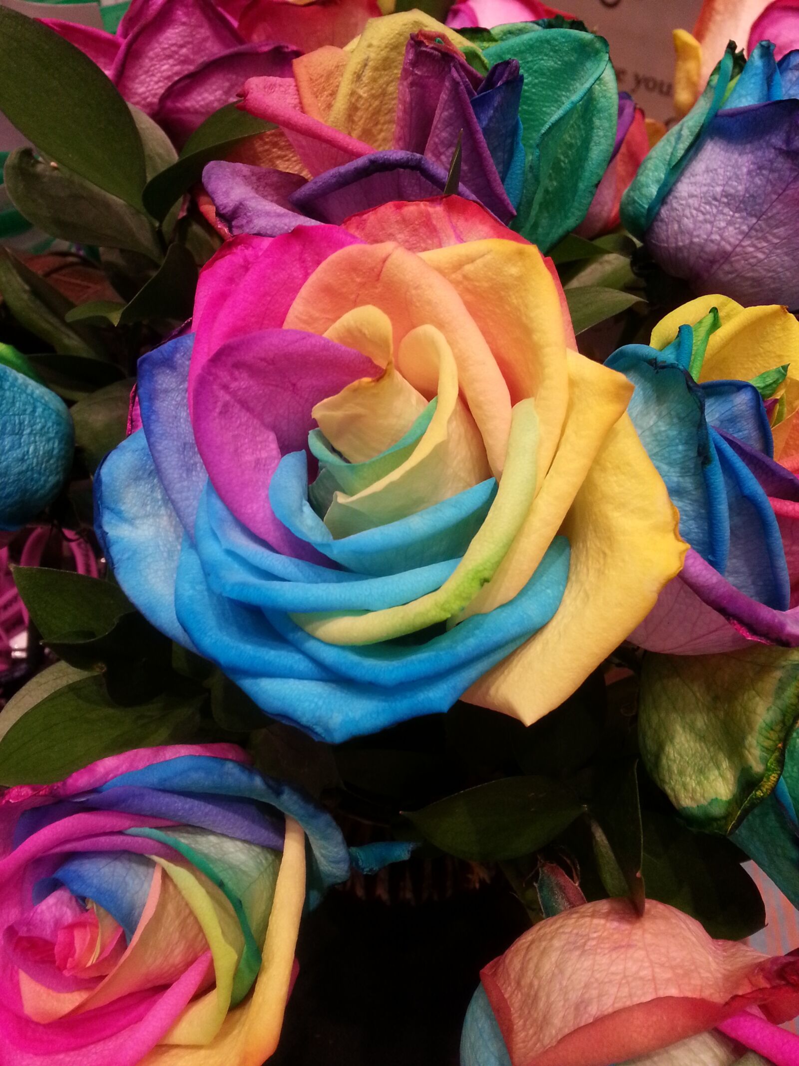 Samsung Galaxy S3 sample photo. Flower, color, rose photography