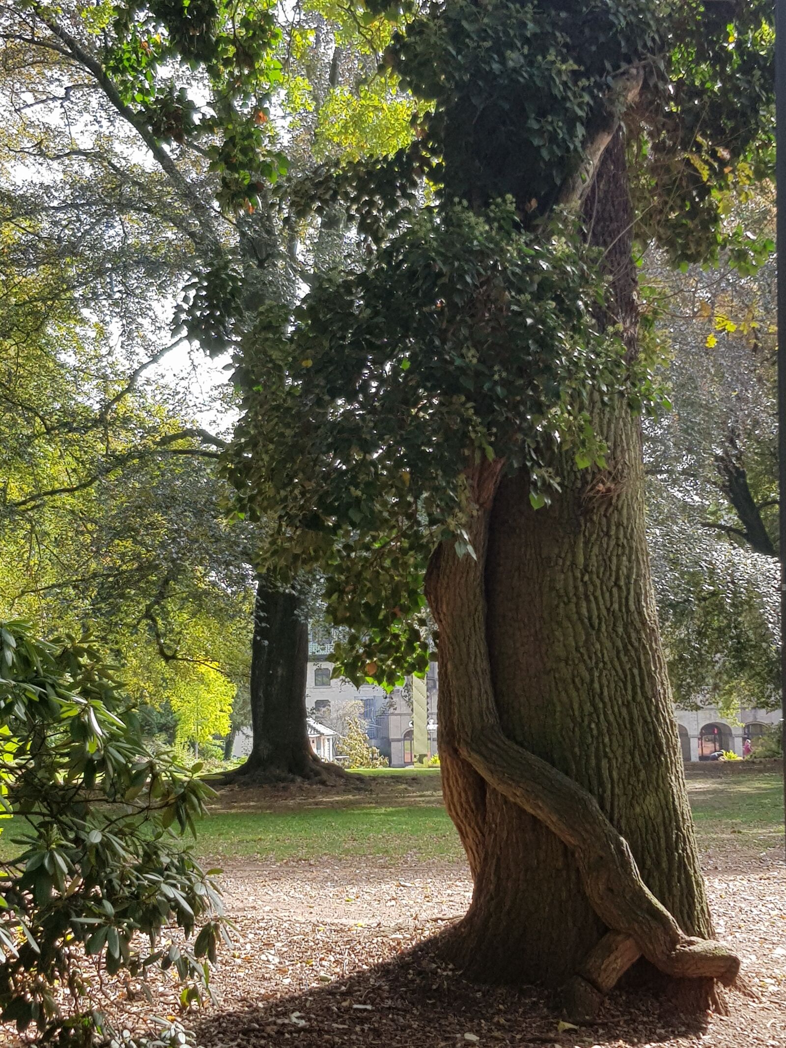 Samsung Galaxy S8 sample photo. M nchengladbach, colorful garden photography