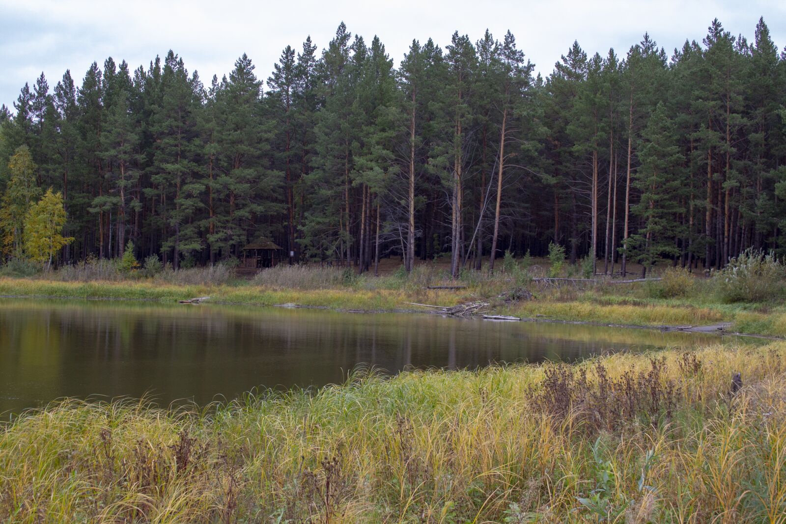 Canon EOS 60D + Canon EF-S 18-55mm F3.5-5.6 sample photo. Autumn, body of water photography