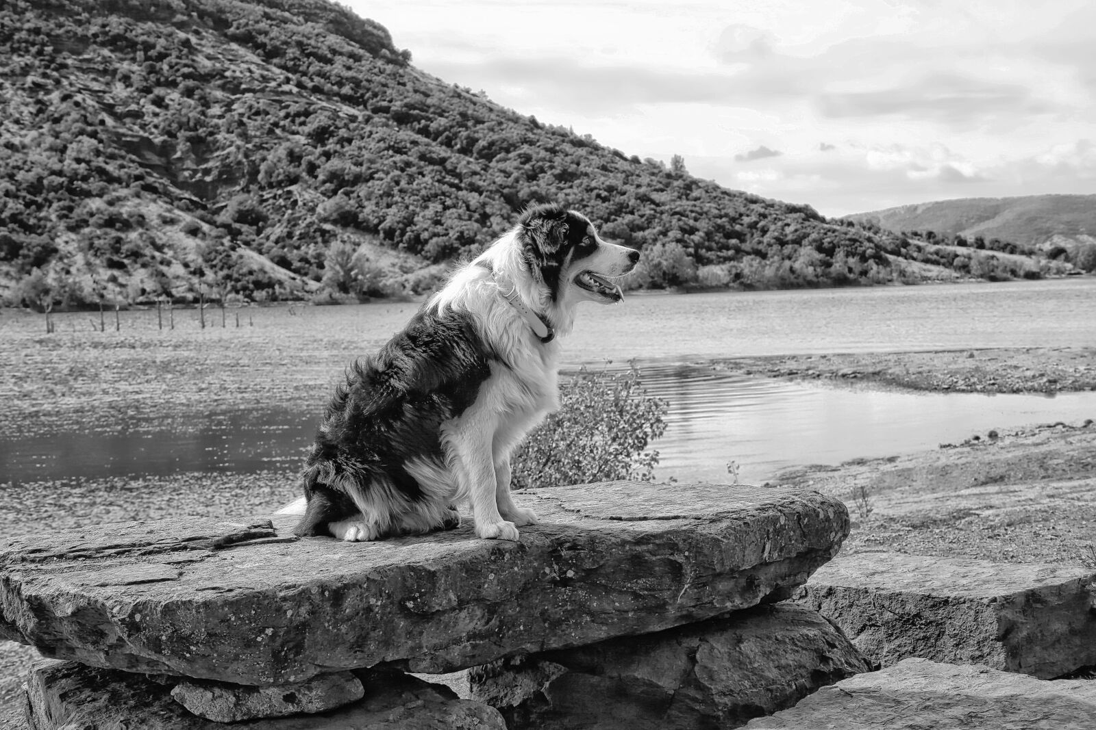 Canon EOS 5D Mark III sample photo. Dog, landscape, mountain photography