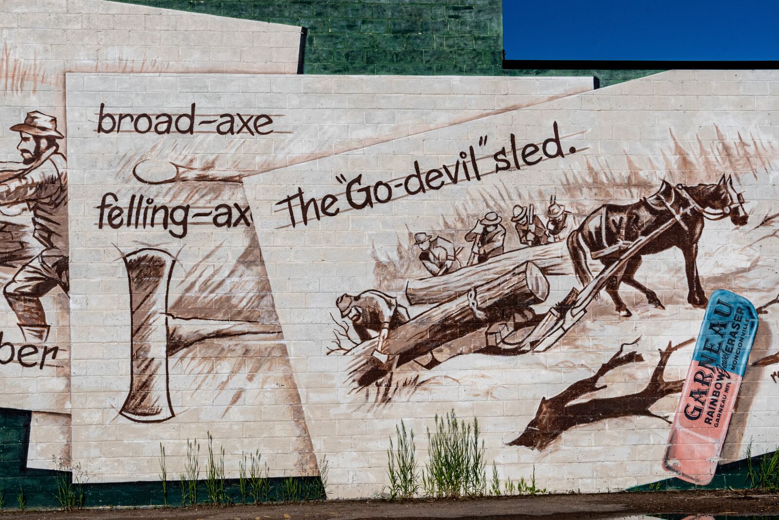 Nikon D500 sample photo. Pembroke ontario, wall mural photography