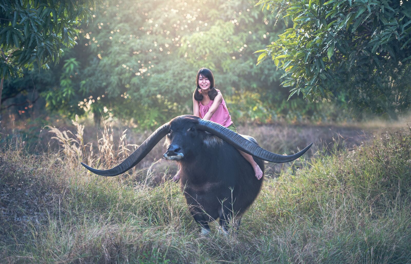 Nikon D810 sample photo. Buffalo, girl, seat photography