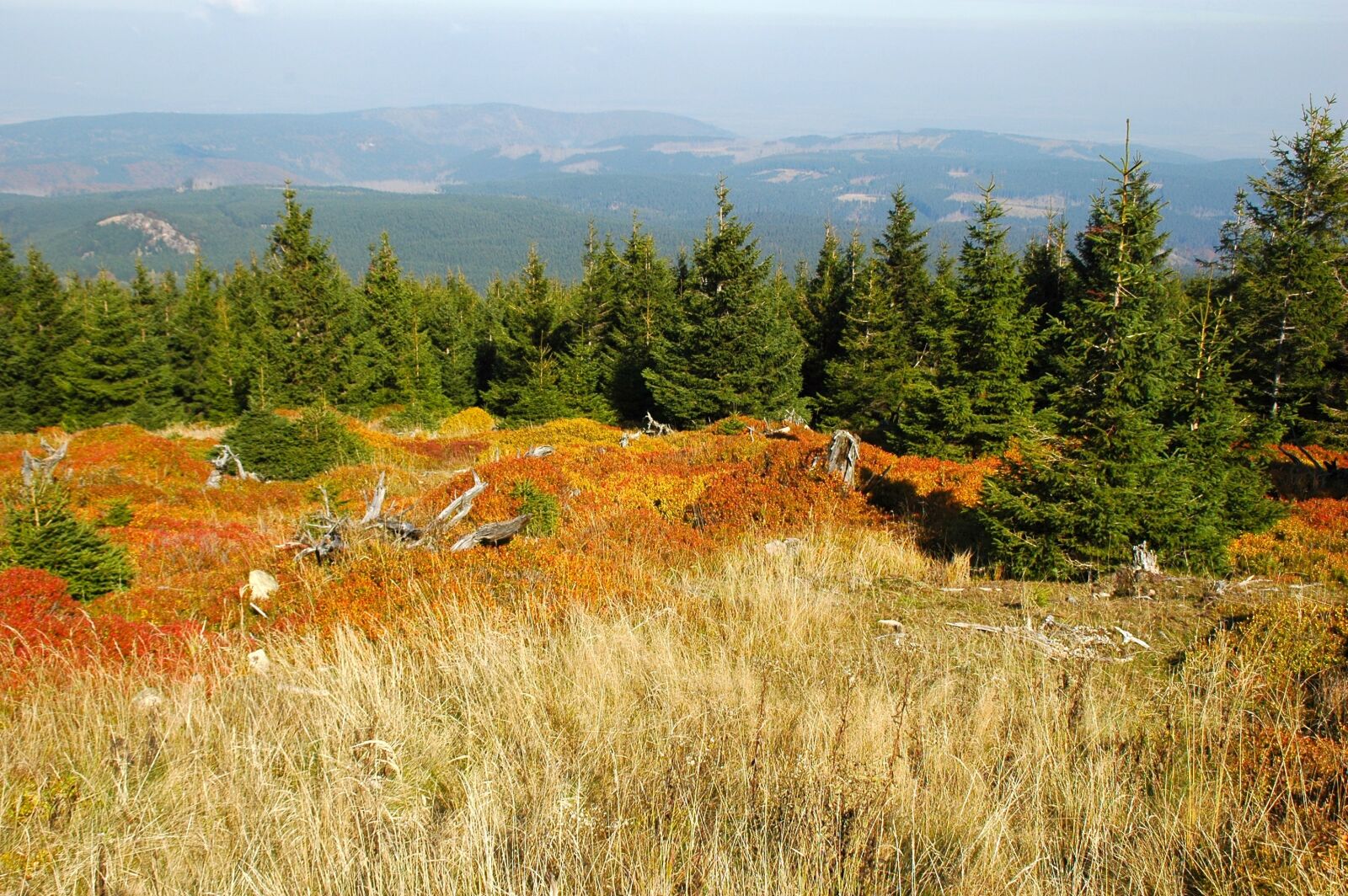 Nikon D70s sample photo. Landscape, panorama, autumn photography