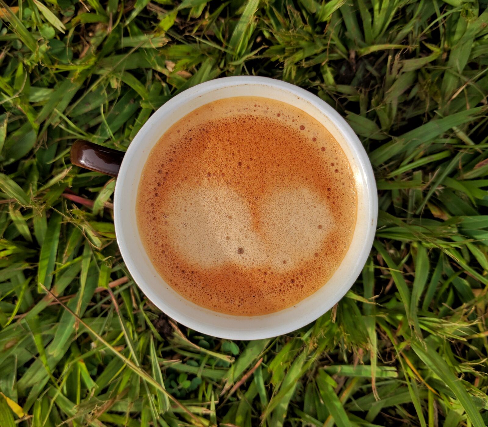 LG Nexus 5X sample photo
