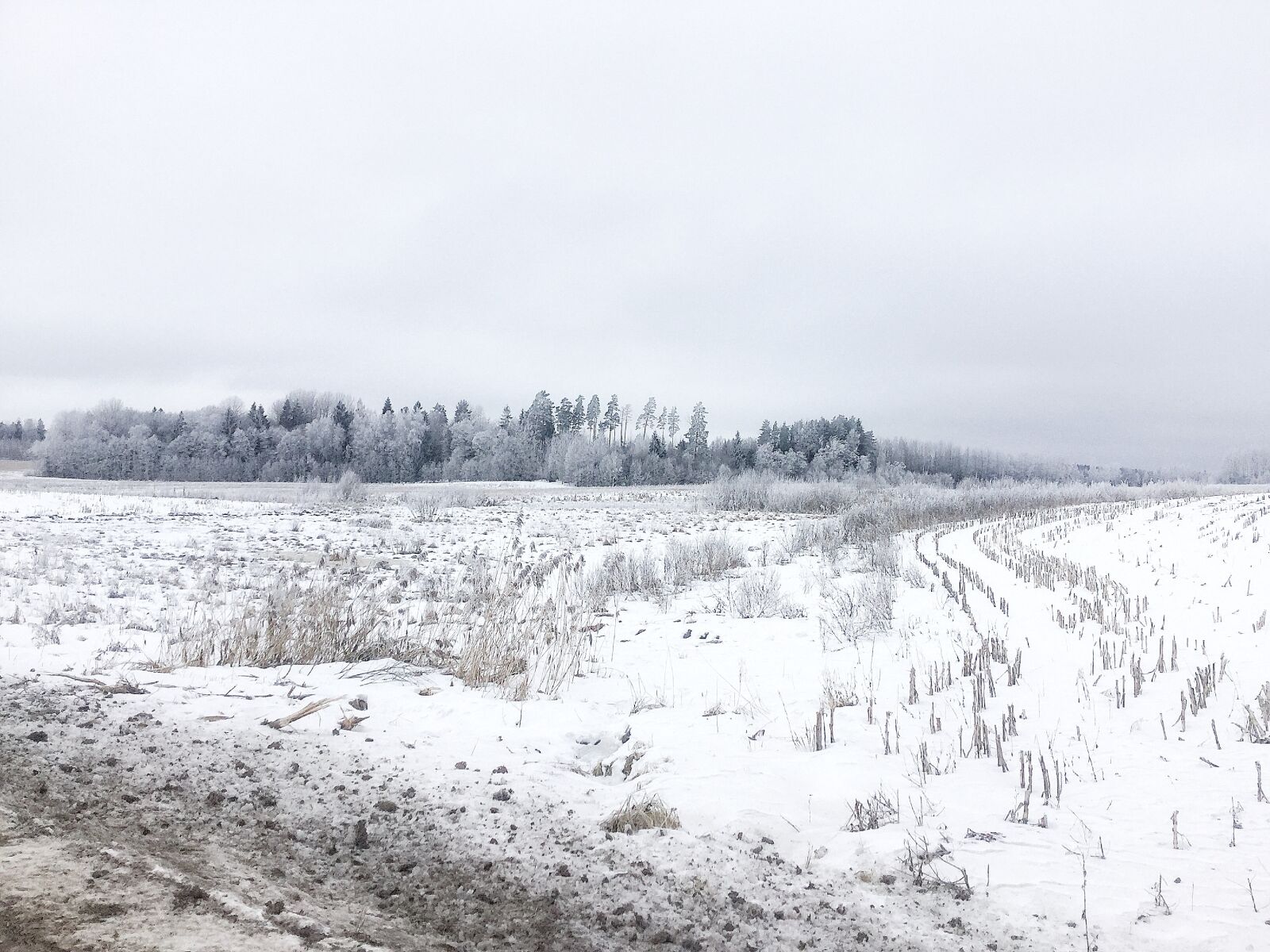 Apple iPad Air 2 sample photo. Snow, landscape, winter photography
