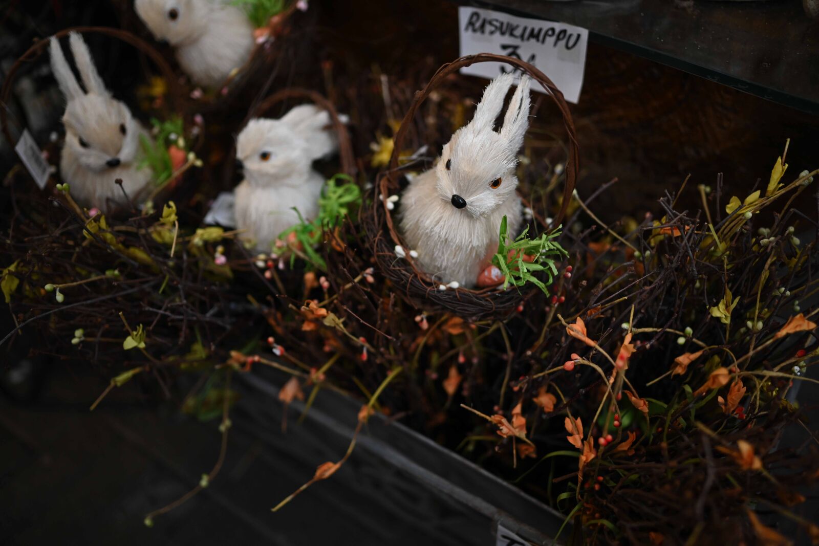 Nikon Z7 sample photo. Bunny bouquet photography