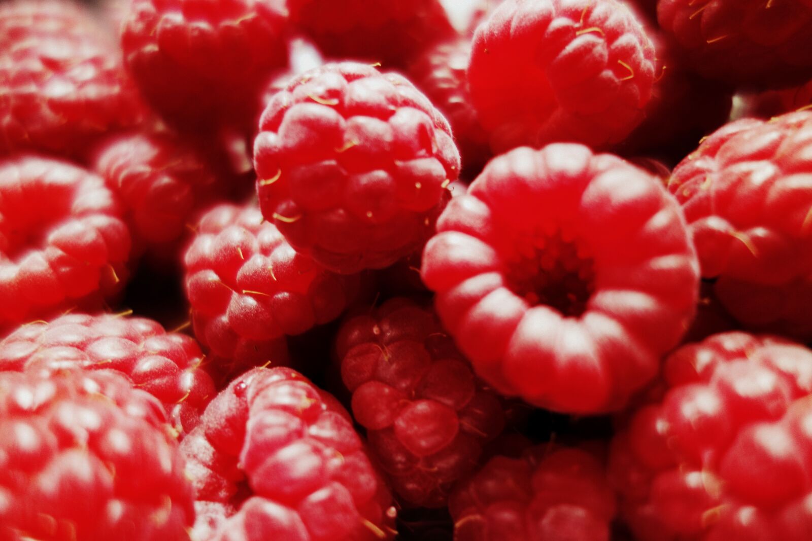 Sony Cyber-shot DSC-RX100 sample photo. Raspberries, berries, fruits photography