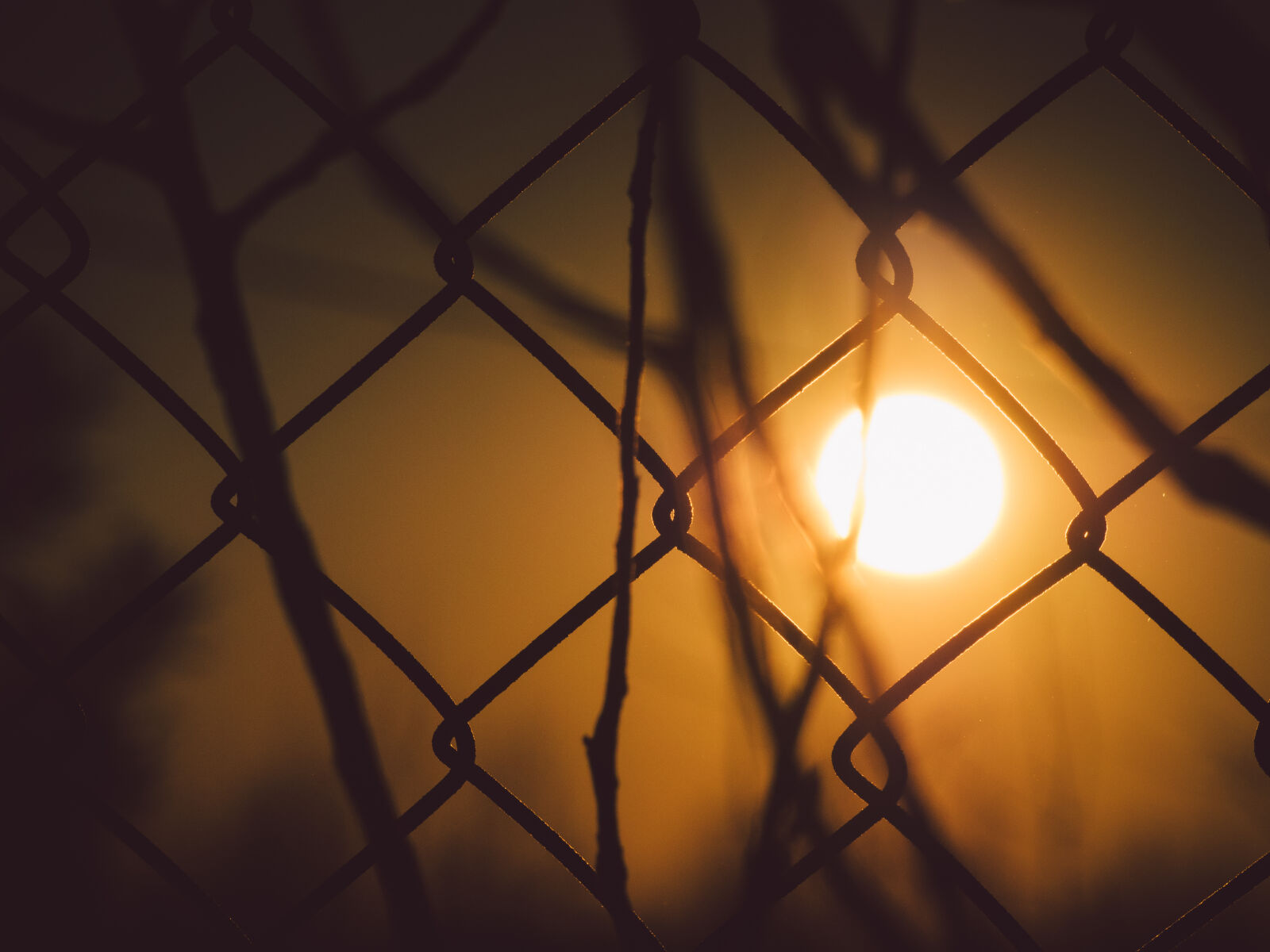 Olympus OM-D E-M5 sample photo. Fence, nature, outdoors, sky photography
