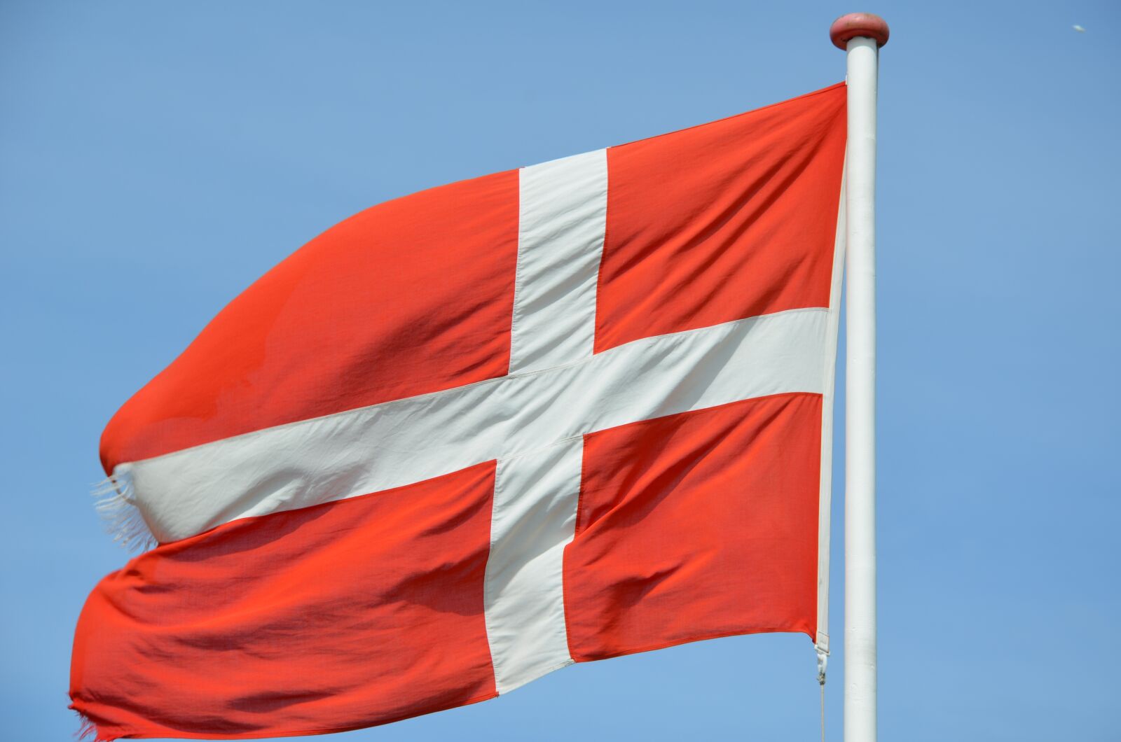 Nikon D5100 sample photo. Denmark, flag, danish flag photography