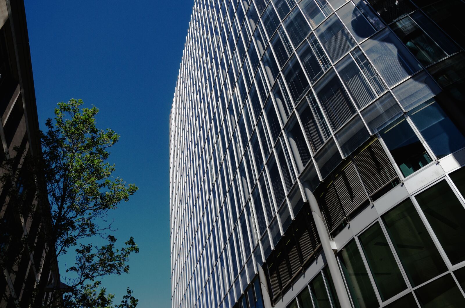 Nikon D5100 sample photo. Large, skyscraper, architecture photography