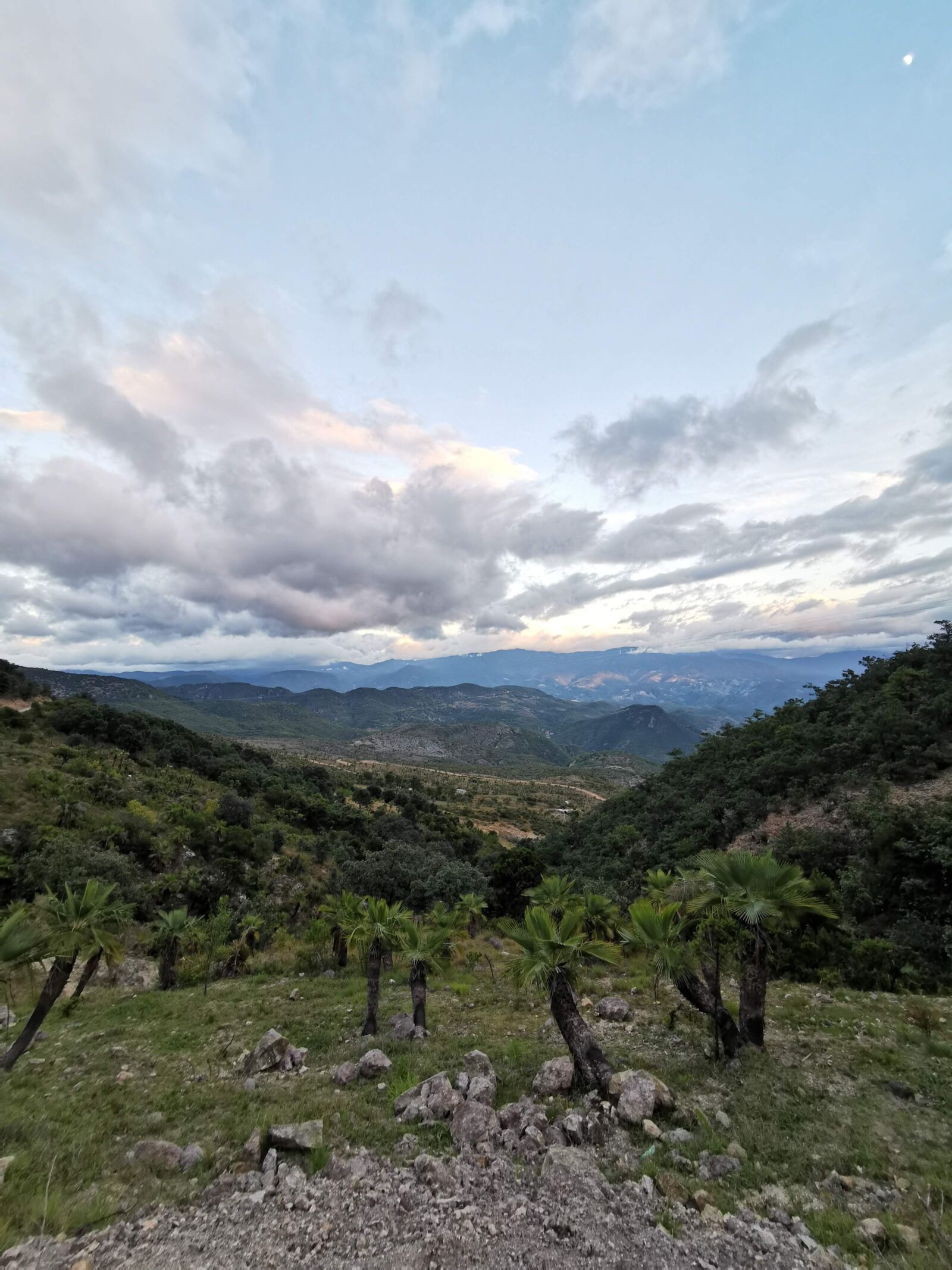 HUAWEI P30 Pro sample photo. Mexico, nature, oaxaca photography