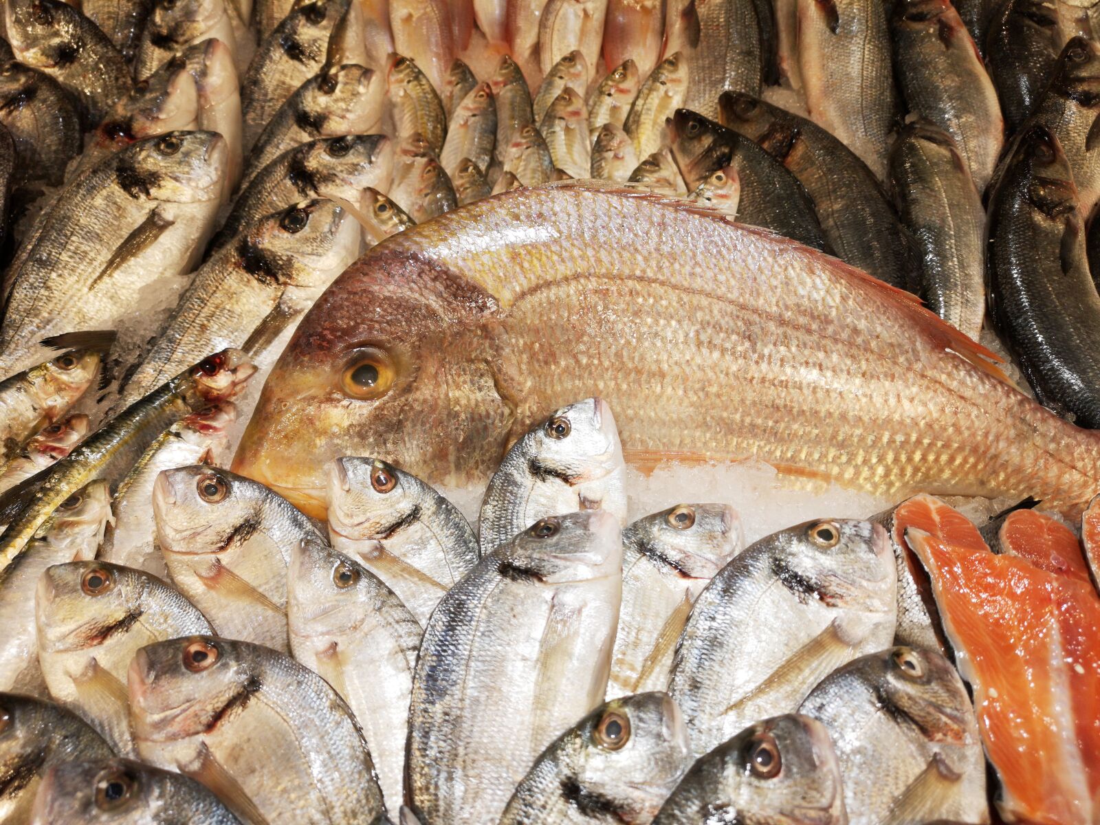 HUAWEI CLT-L09 sample photo. Fish, food, market photography