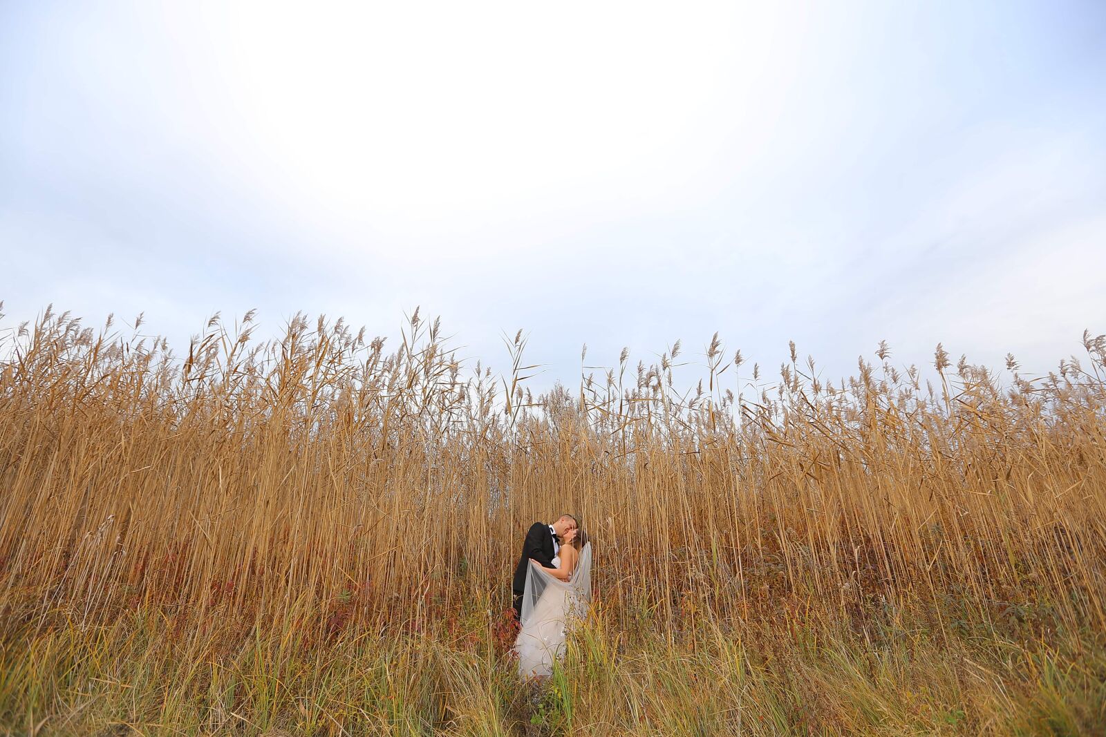 Canon EF 16-35mm F2.8L II USM sample photo. Countryside, grass, groom, bride photography