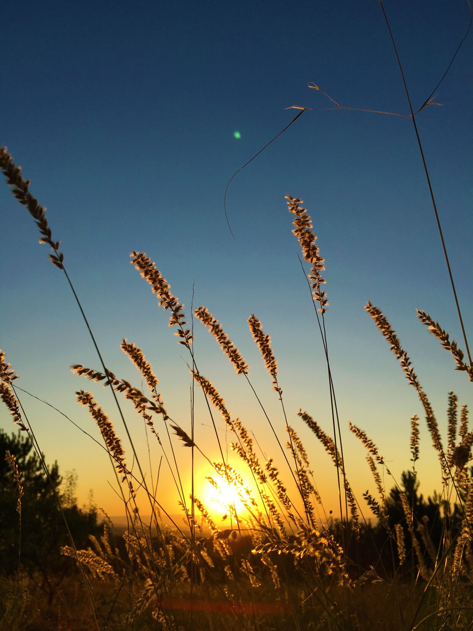 iPhone 6s back camera 4.15mm f/2.2 sample photo. Sunset, in the evening photography
