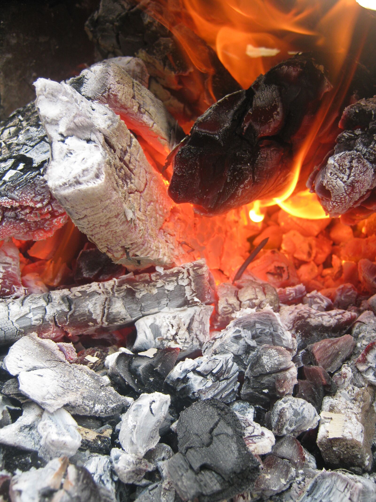 Canon PowerShot A480 sample photo. Coal, wood, burned photography