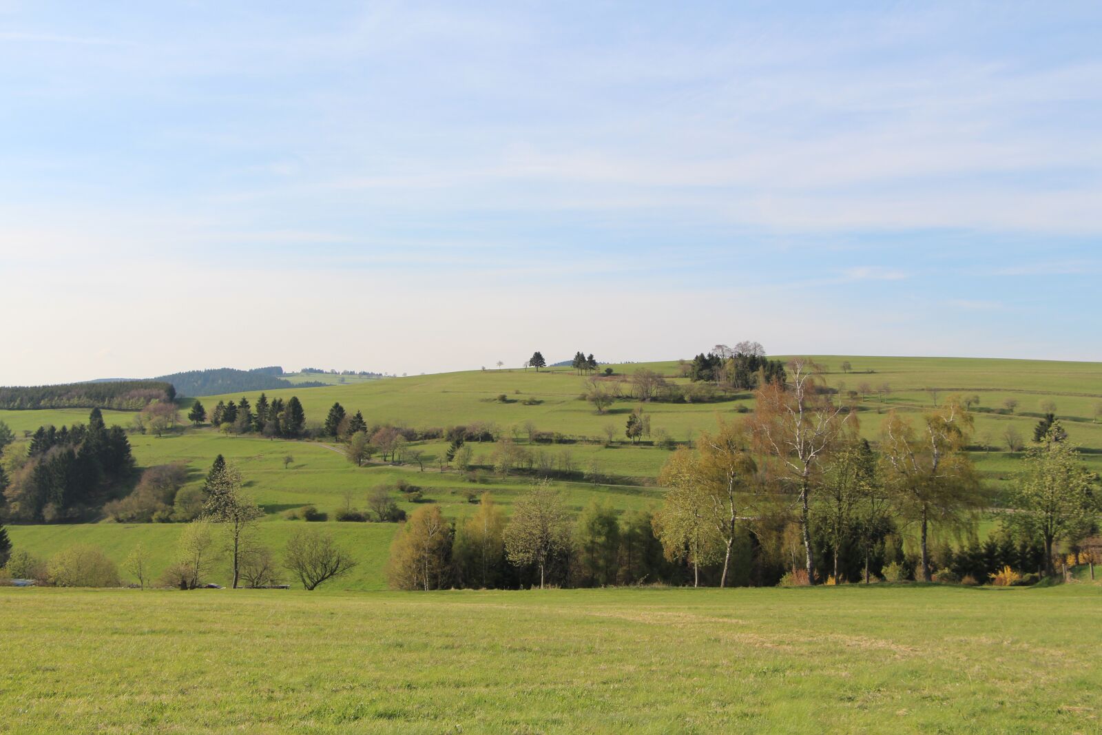 Canon EOS 700D (EOS Rebel T5i / EOS Kiss X7i) sample photo. Meadow, sky, nature photography