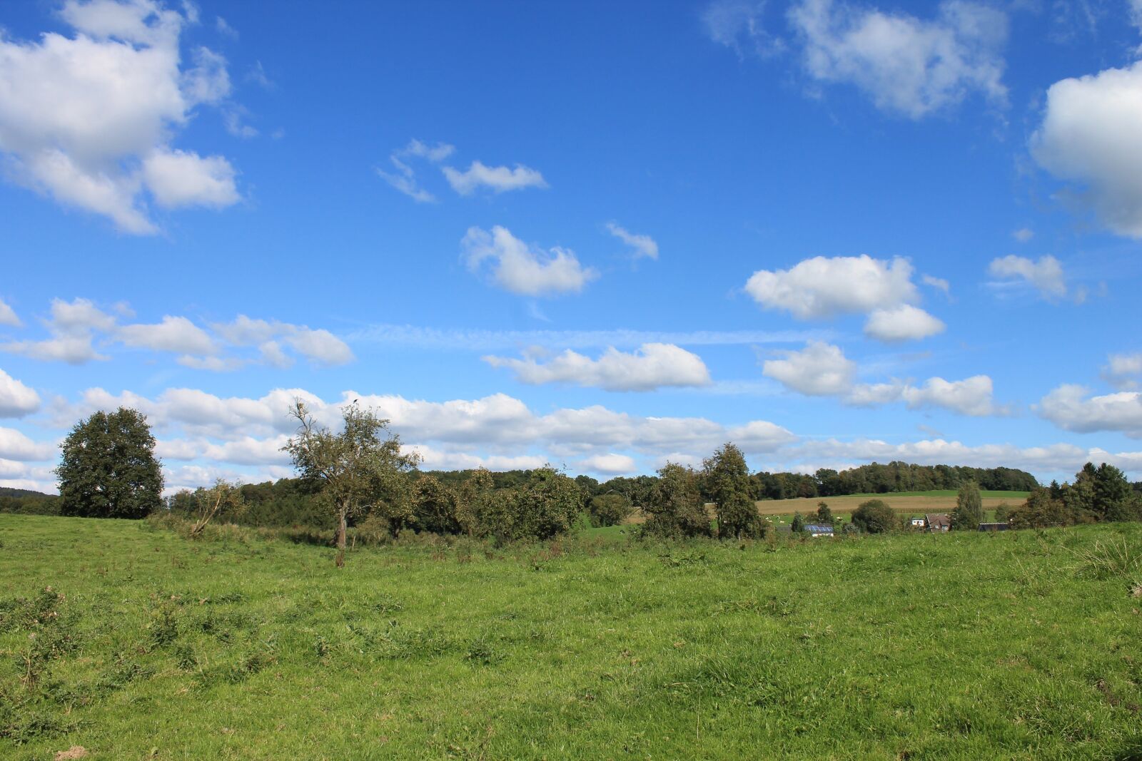 Canon EOS 1100D (EOS Rebel T3 / EOS Kiss X50) sample photo. Landscape, bergisch landscape, bergisches photography
