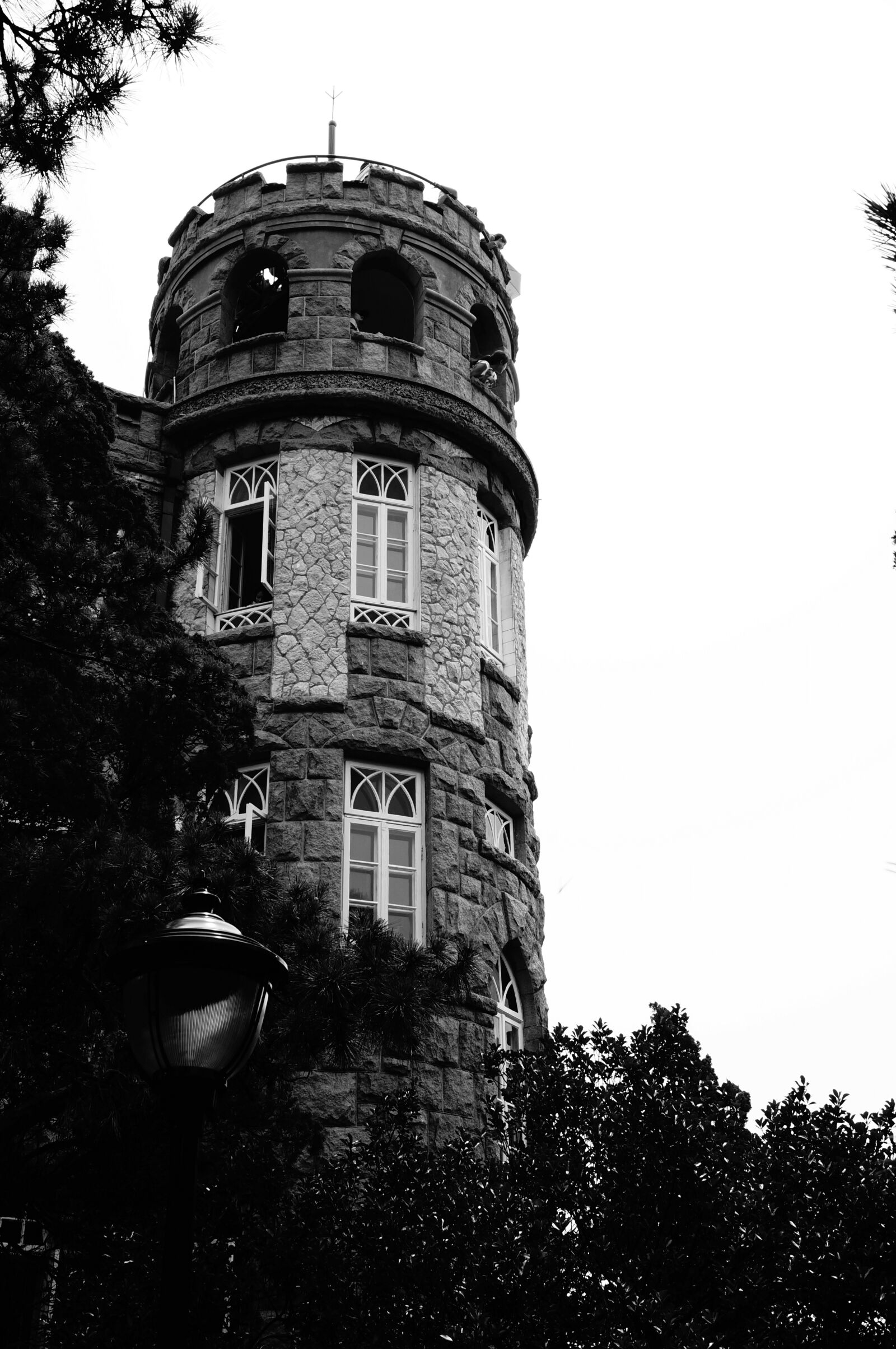 Sony Alpha NEX-6 sample photo. Qingdao, badaguan, flower stone photography