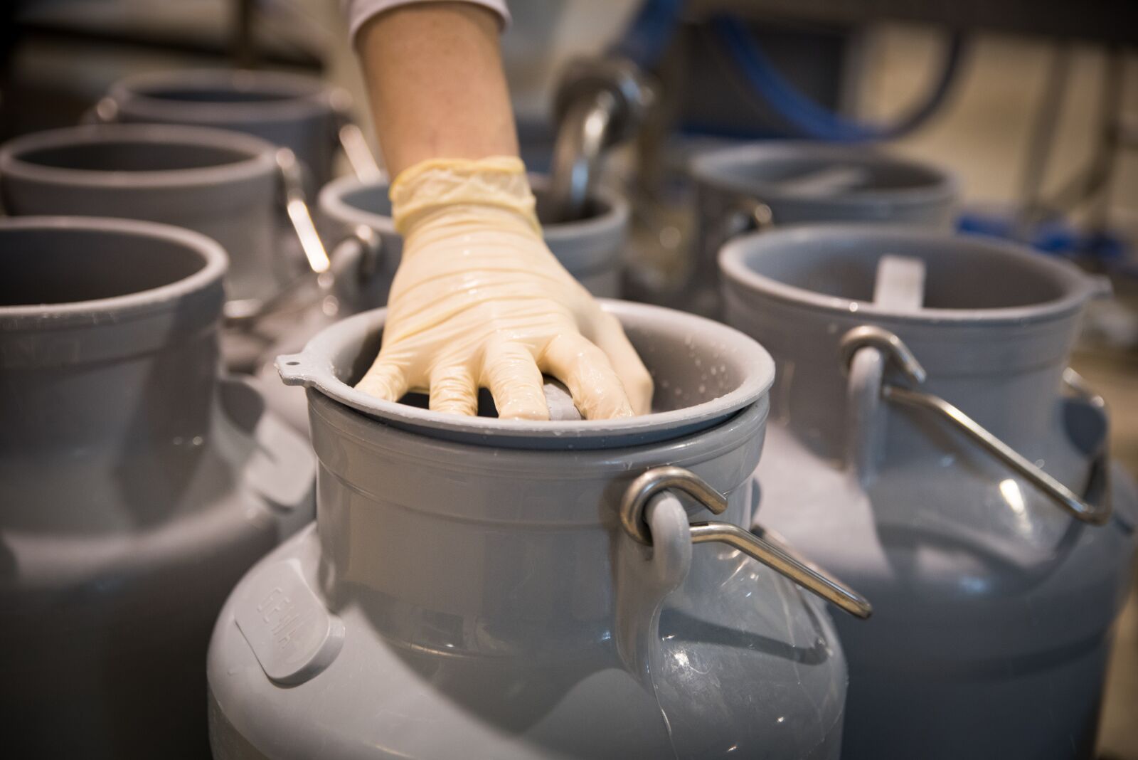 Nikon D750 sample photo. Milk, cow's milk, dairy photography