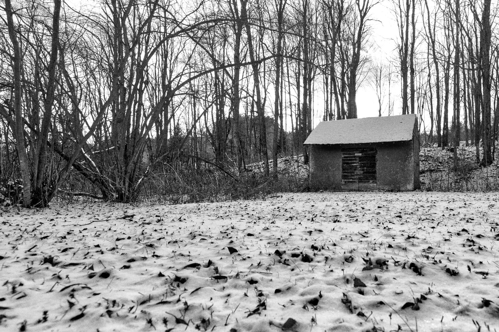 Canon EF 16-35mm F4L IS USM sample photo. Cabin, winter, snow photography