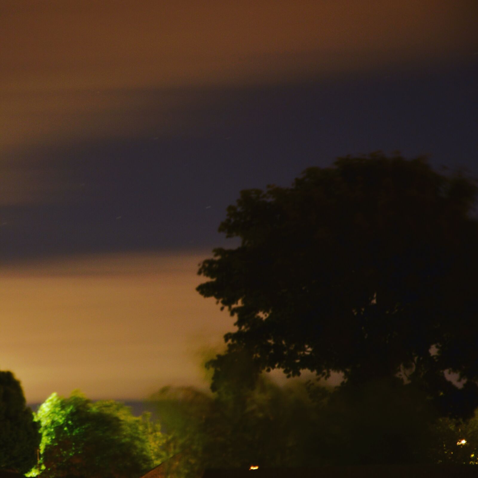 Nikon D3200 sample photo