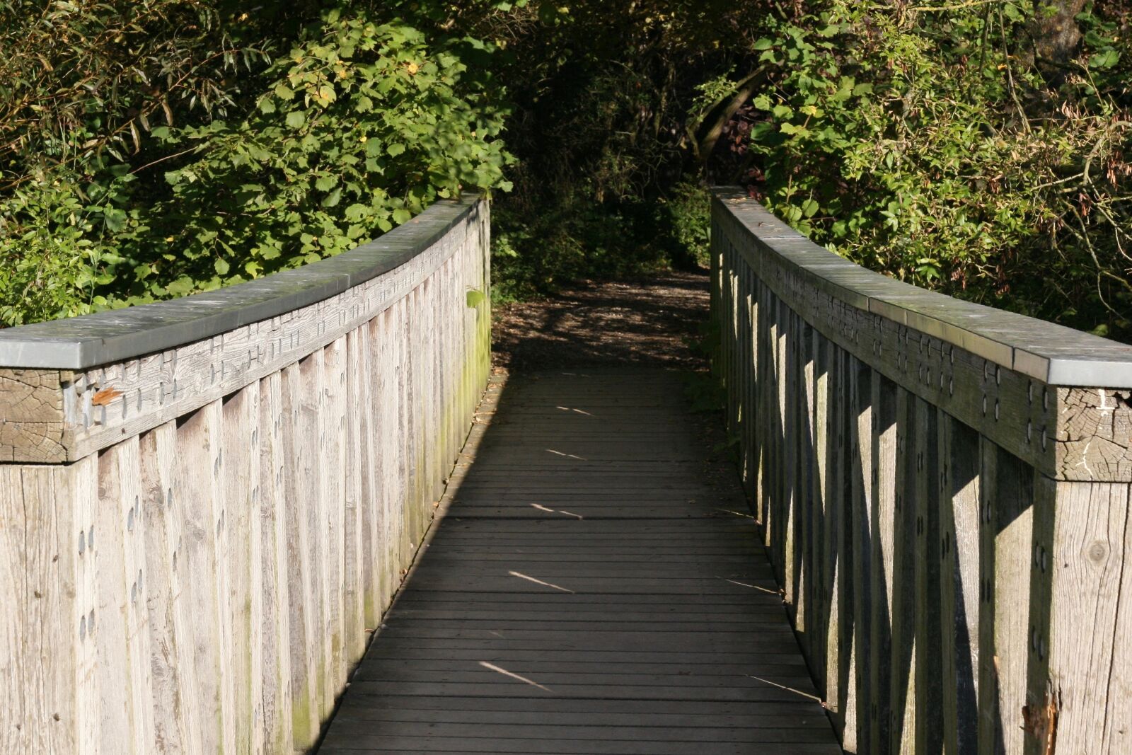 Canon EOS 400D (EOS Digital Rebel XTi / EOS Kiss Digital X) sample photo. Away, boardwalk, transition photography