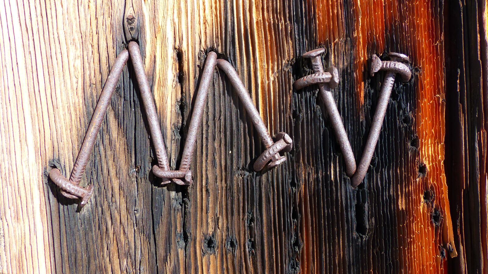 Panasonic Lumix DMC-FZ200 sample photo. Macro, nails, wood photography