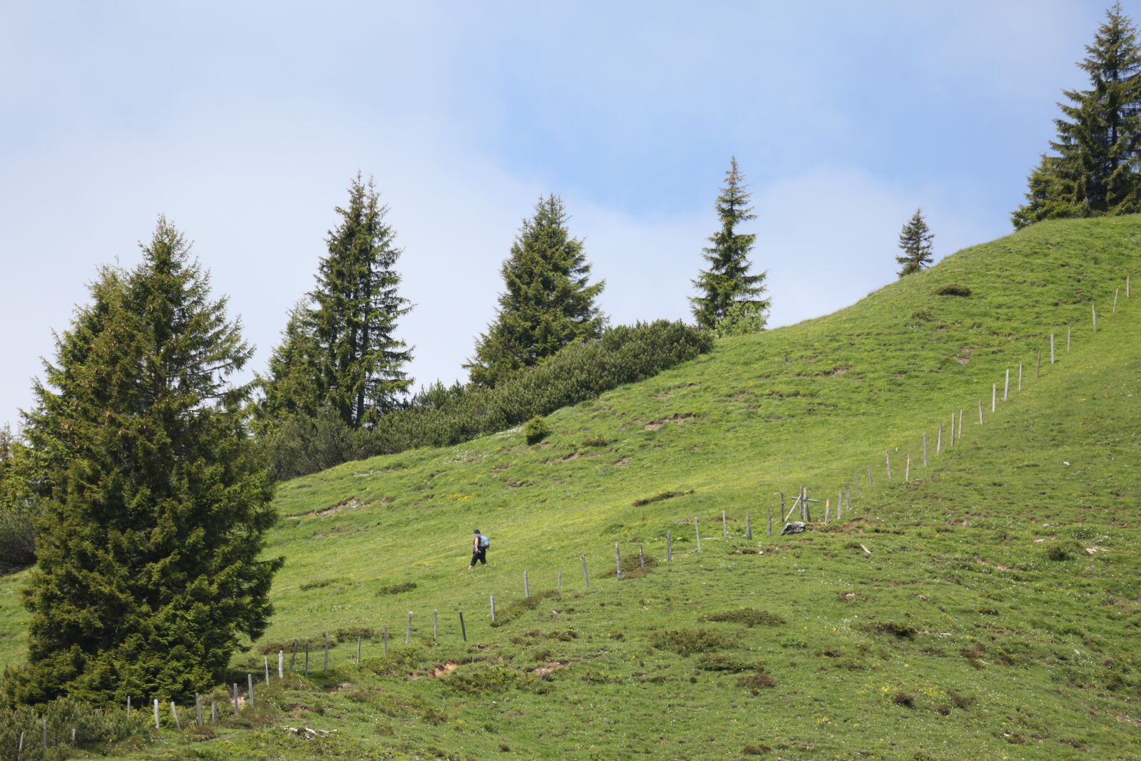 Canon EF 100-400mm F4.5-5.6L IS USM sample photo. Alm, mountains, meadow photography