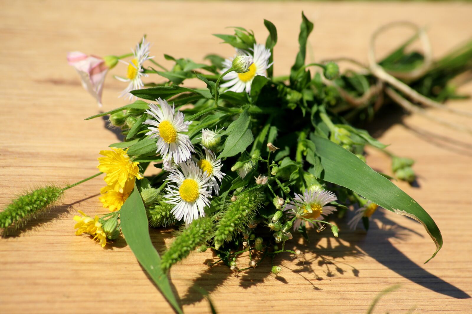 Canon EOS 1200D (EOS Rebel T5 / EOS Kiss X70 / EOS Hi) sample photo. Bouquet, a small bunch photography