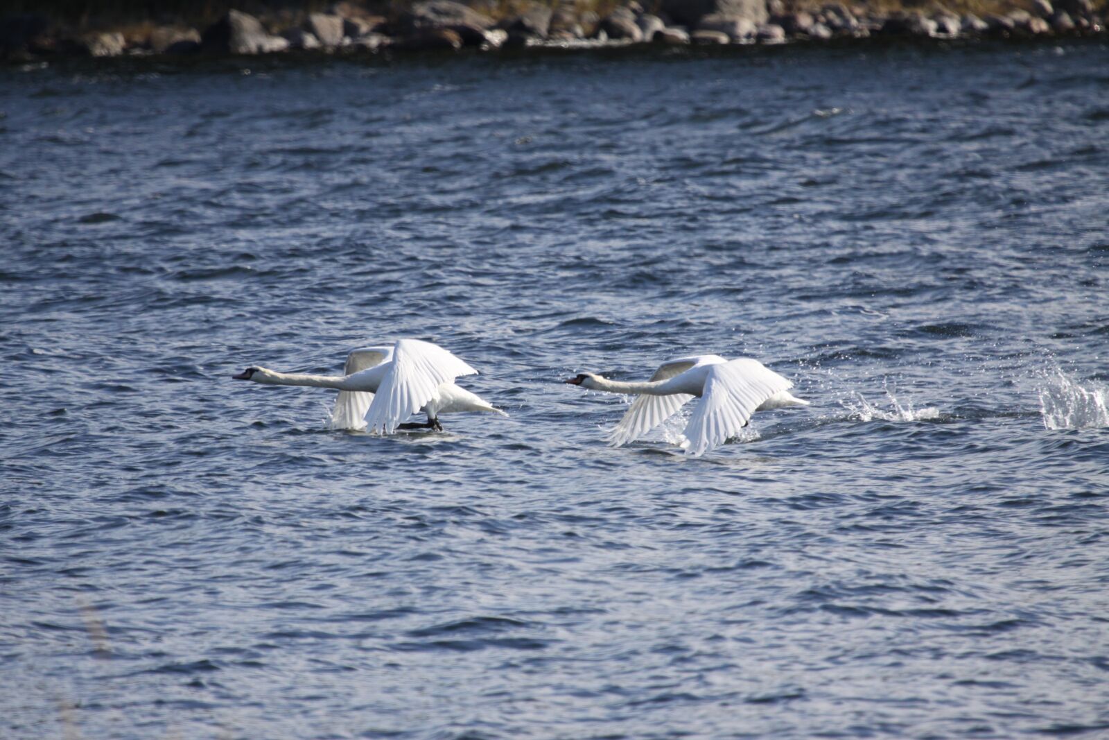 Canon EOS 50D sample photo. Water, nature, sea photography