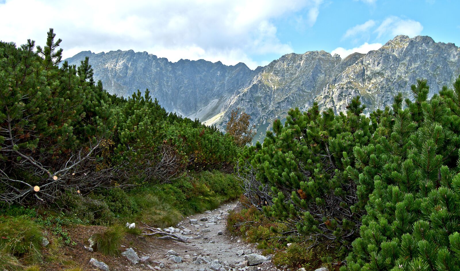 Nikon D3200 sample photo. Mountains, tatry, kosówka photography