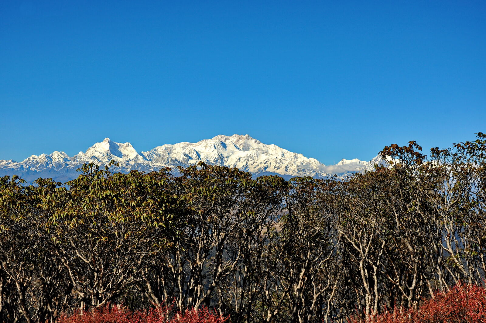 Nikon D90 sample photo. Sandakphu photography