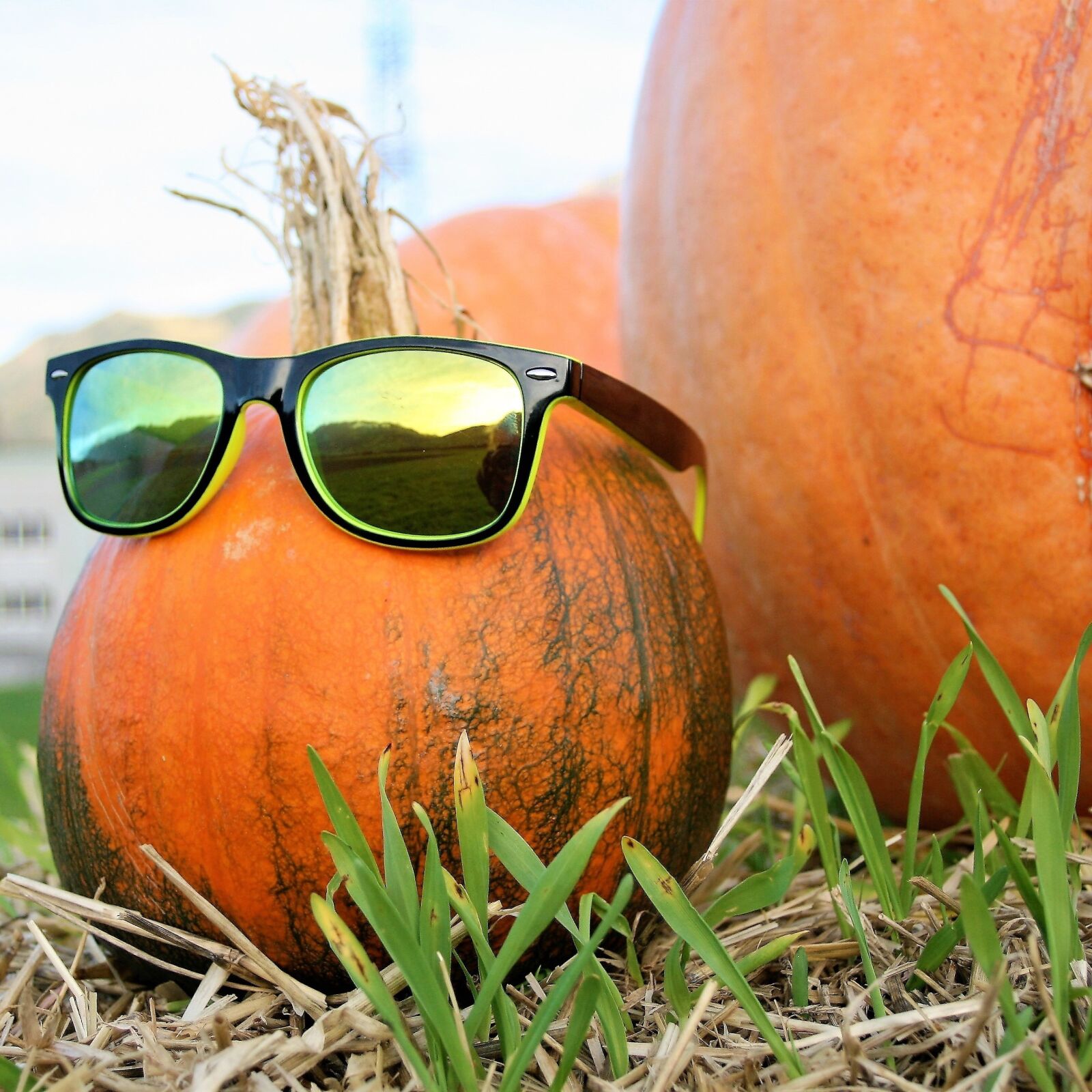 Canon EOS 400D (EOS Digital Rebel XTi / EOS Kiss Digital X) sample photo. Ornamental pumpkins, glasses, autumn photography