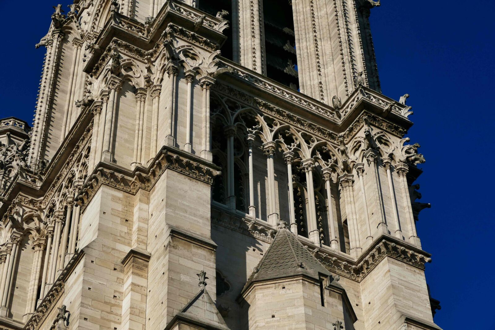 Panasonic Lumix DMC-FZ1000 sample photo. Notre-dame, paris, gothic photography