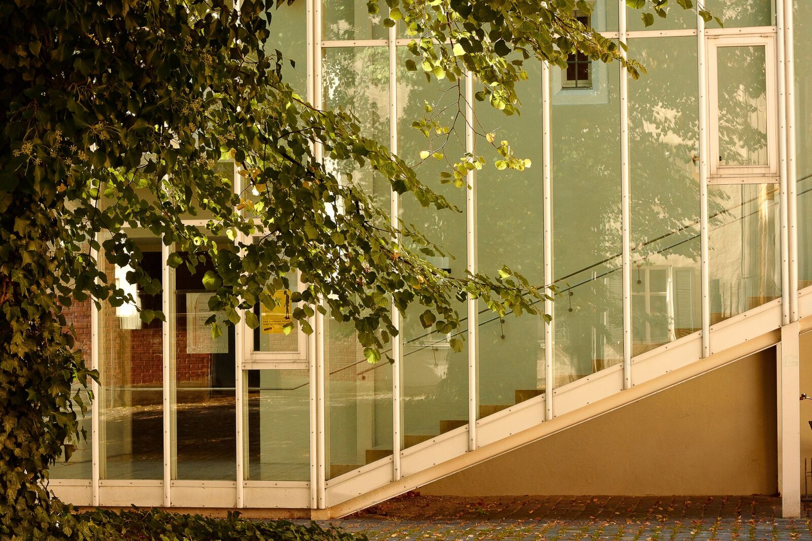 Canon EOS 500D (EOS Rebel T1i / EOS Kiss X3) sample photo. Stairs, glass, architecture photography