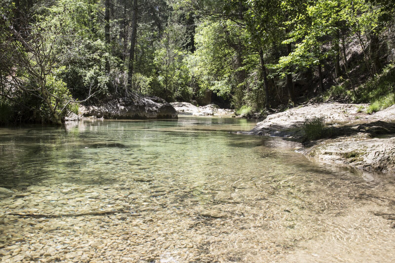 Canon EOS 6D + Canon EF 24-105mm F4L IS USM sample photo. River, nature, landscape photography
